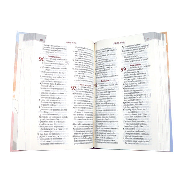 Biblia TLA Letra grande 12 puntos con ayuda emocional