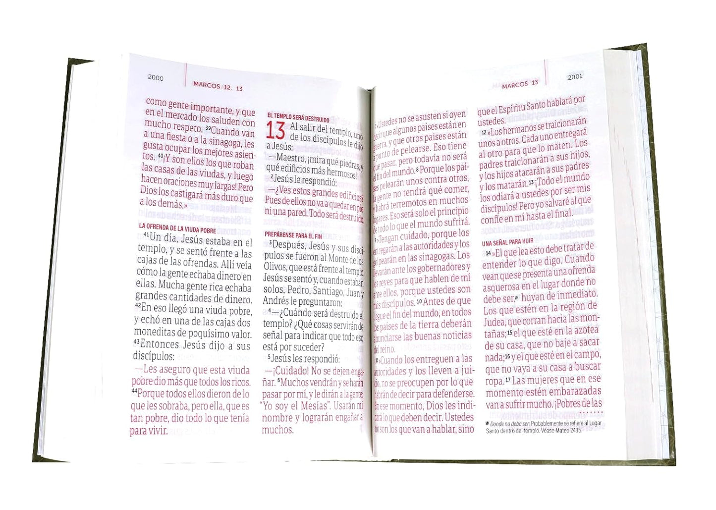 Biblia Traducción Lenguaje Actual Letra Super Gigante PJR Tapa Dura