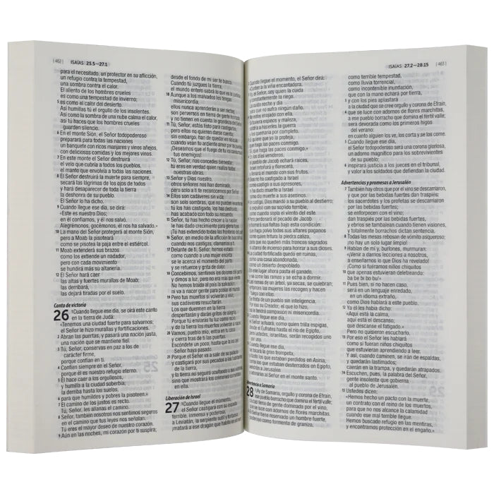 DHH Biblia Económica Flores Dios habla hoy