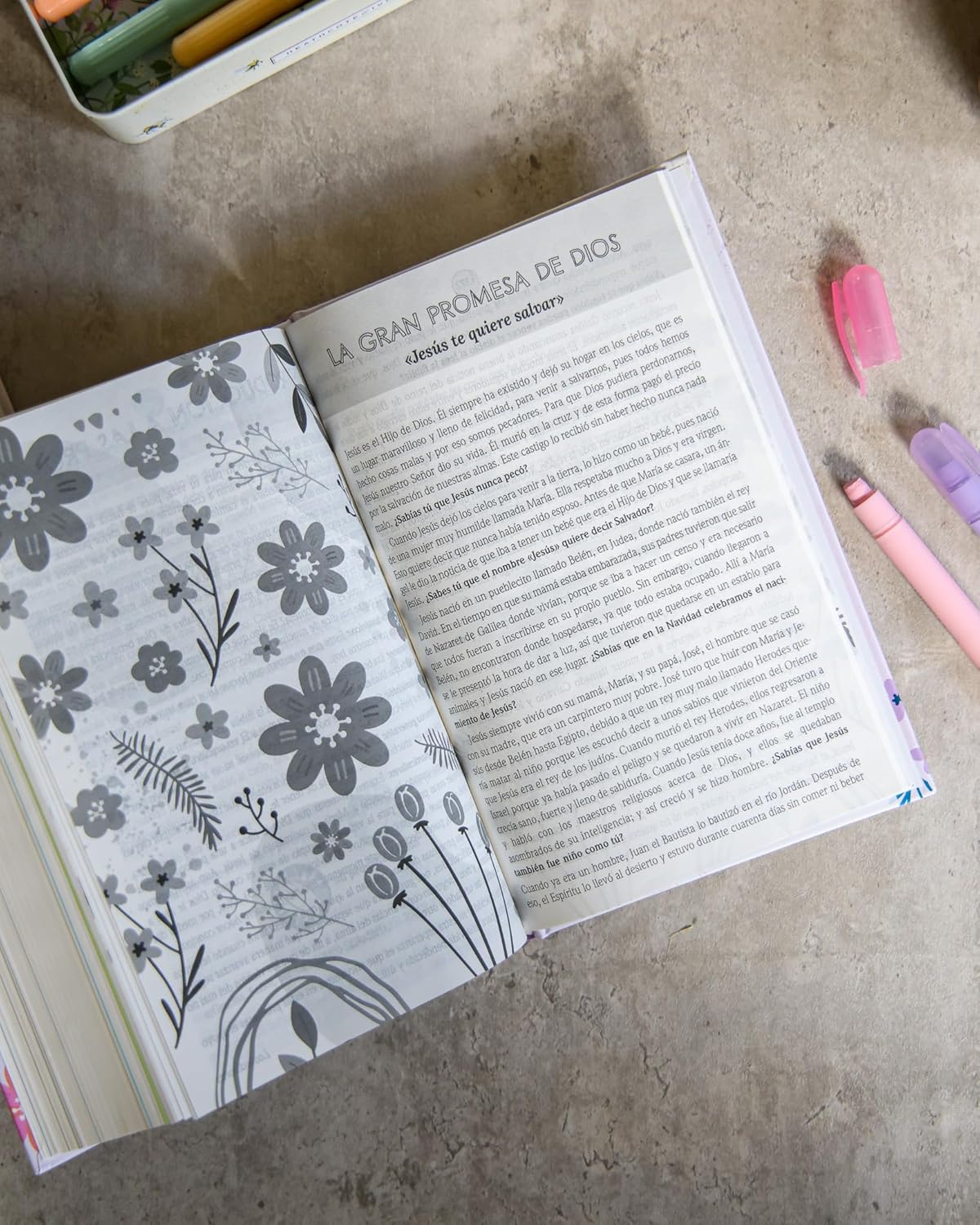Biblia de Promesas para Niñas NTV – Historias Bíblicas, Tapa Dura