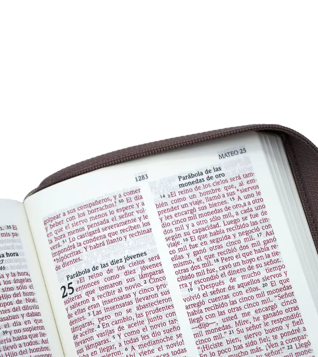 Santa Biblia NVI, Marrón, Piel Especial con Cierre, Compacta
