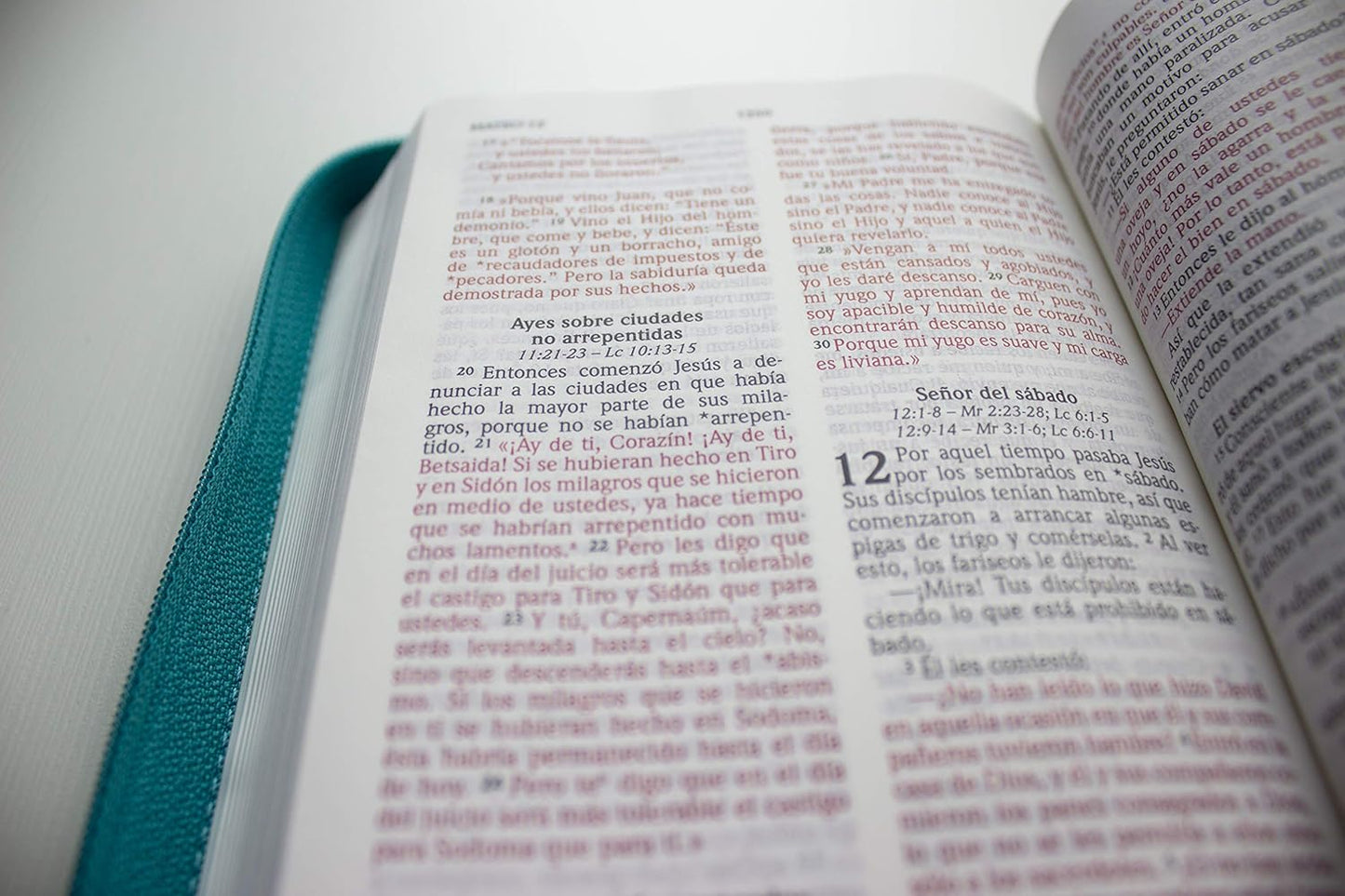 Santa Biblia Nvi Letra Grande Turquesa Con Cierre