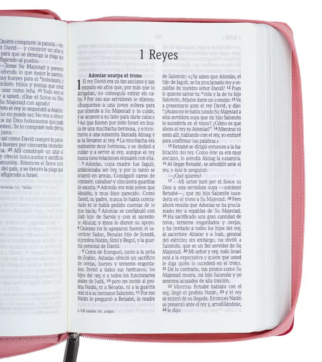 Santa Biblia NVI Letra Grande, Tamaño Manual Con Cierre – Simil piel rosa