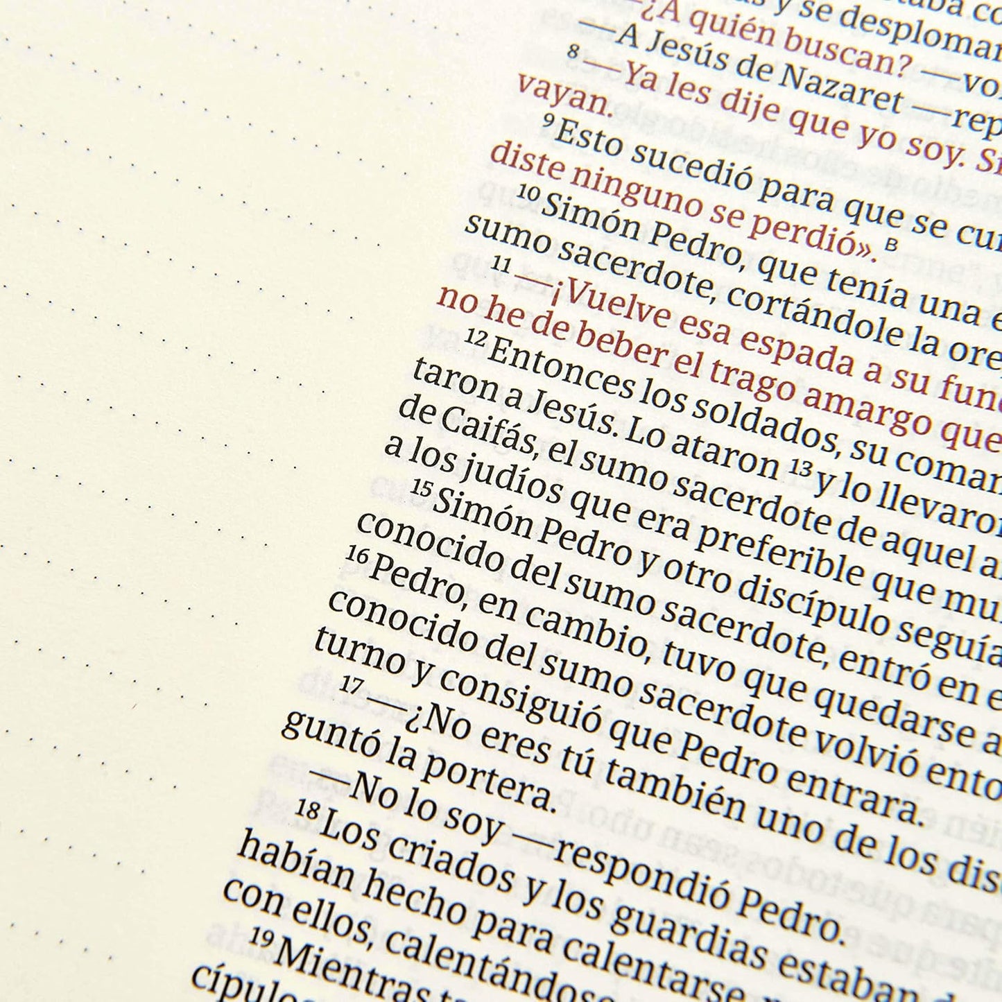 Biblia NVI de apuntes, blanco y azul símil piel