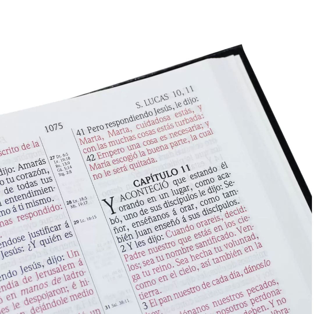 Biblia Reina Valera 1909 Palabras De Jesús En Rojo T. Dura