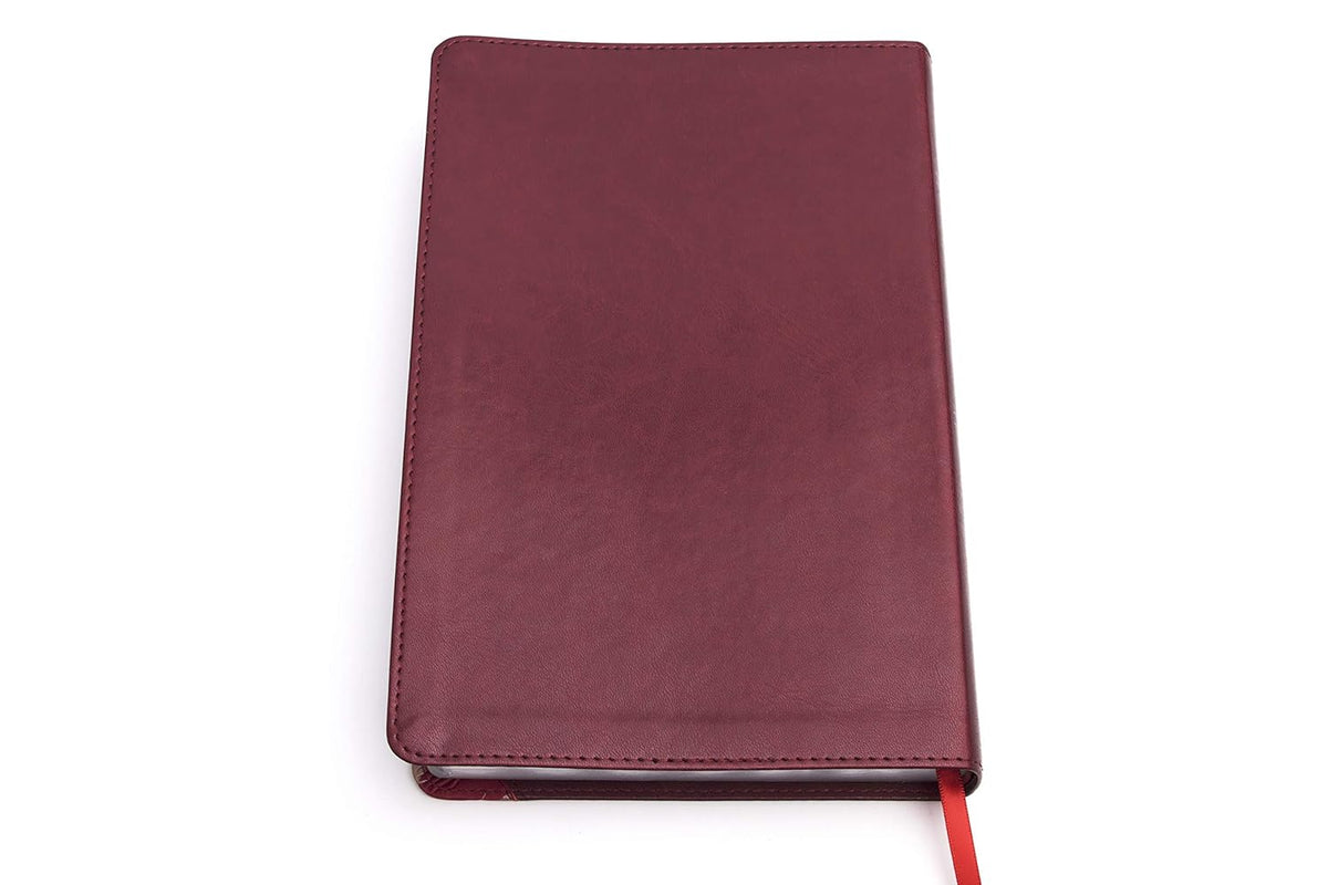 Biblia de Estudio para Mujeres Reina Valera 1960