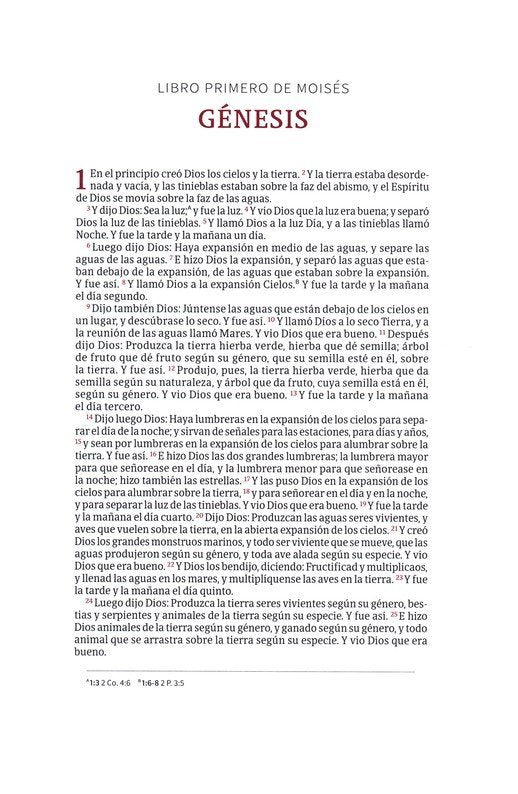 Biblia Devocional Reina Valera 1960 Centrada en Cristo matizada, simil piel