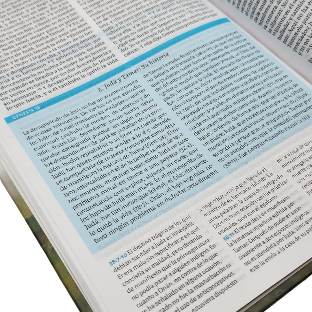RVR 1960 Biblia de estudio de César Vidal, tapa dura