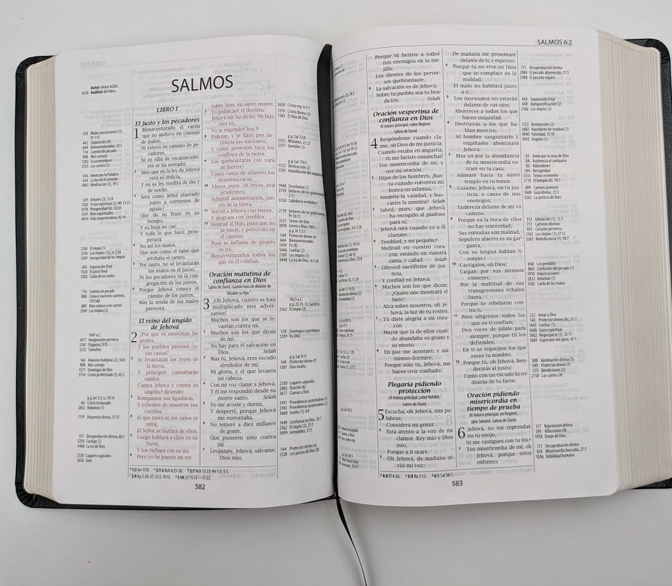 Bibia de referencia Thompson piel especial RVR1960