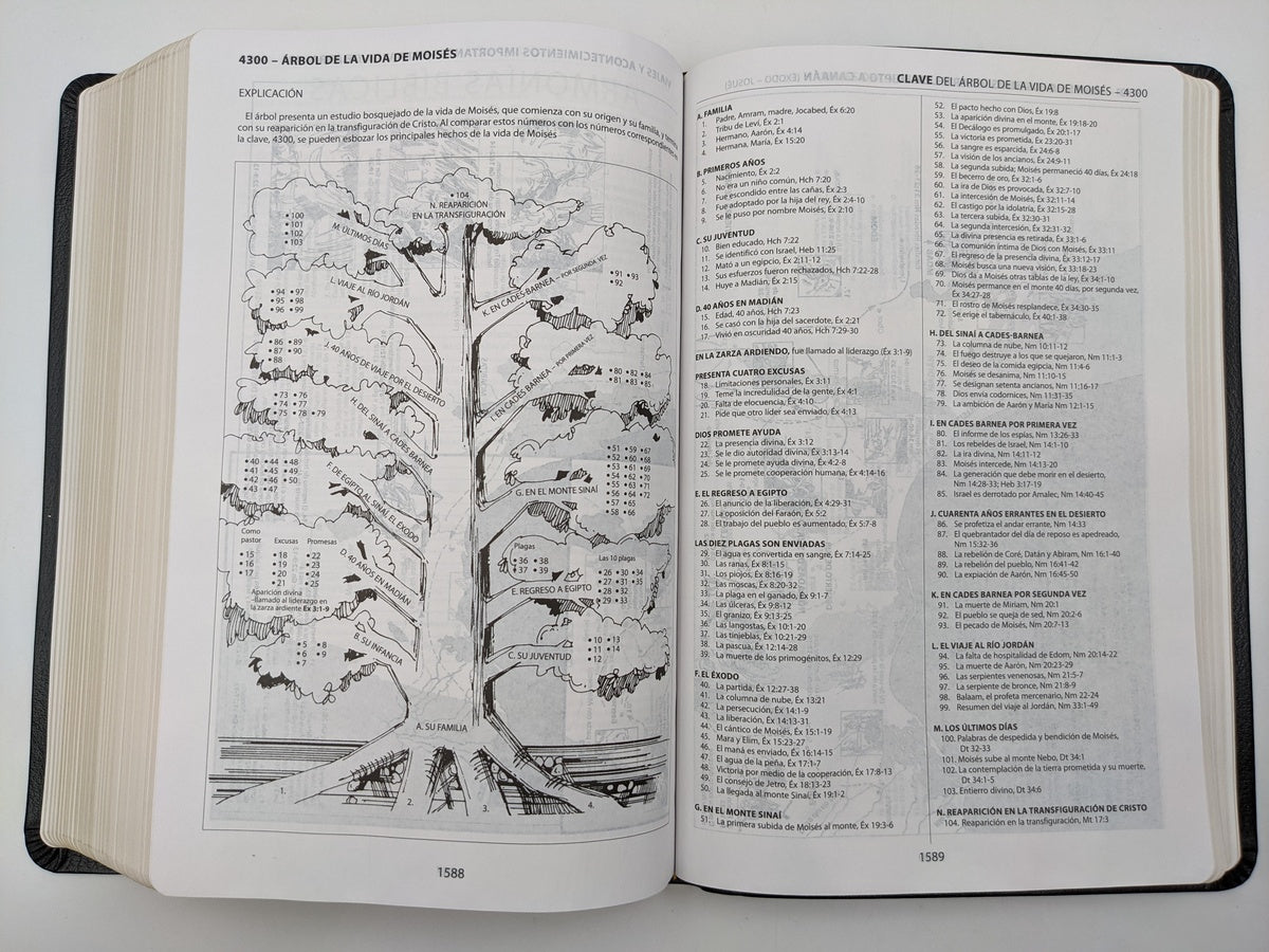 Bibia de referencia Thompson piel especial RVR1960