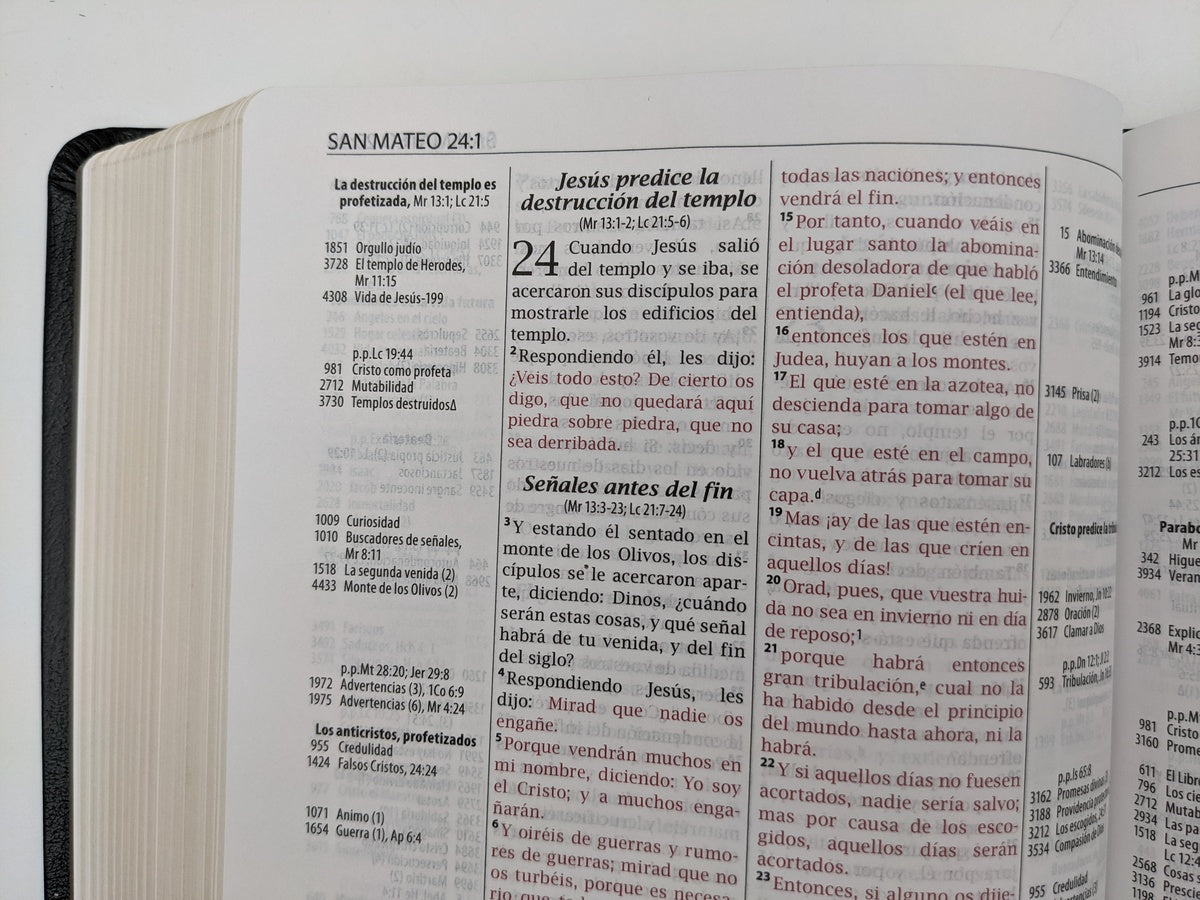 Bibia de referencia Thompson piel especial RVR1960