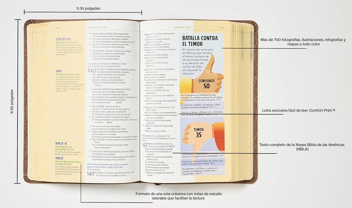 NBLA, Biblia visual de estudio para niños, León Café: Explora la Biblia