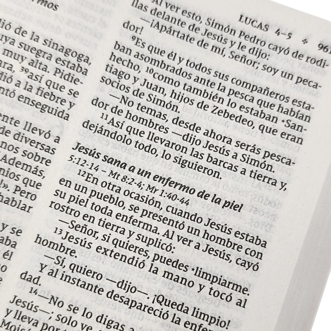 Biblia NVI 2022, edición rústica letra 9 puntos