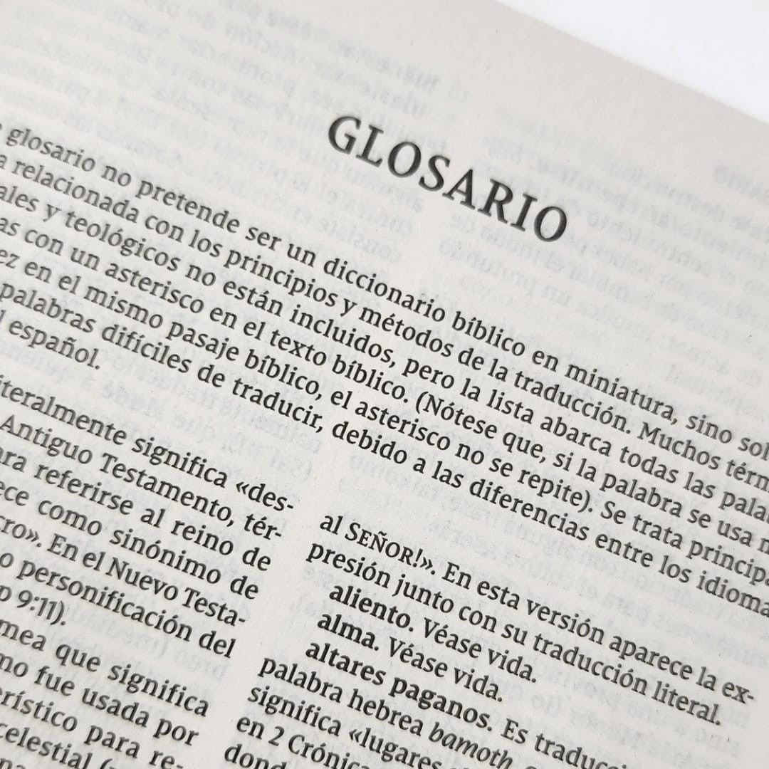 Biblia NVI 2022, edición rústica letra 9 puntos