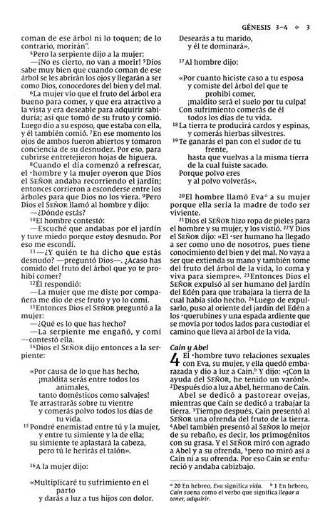 Biblia NVI 2022, edición rústica letra 9 puntos