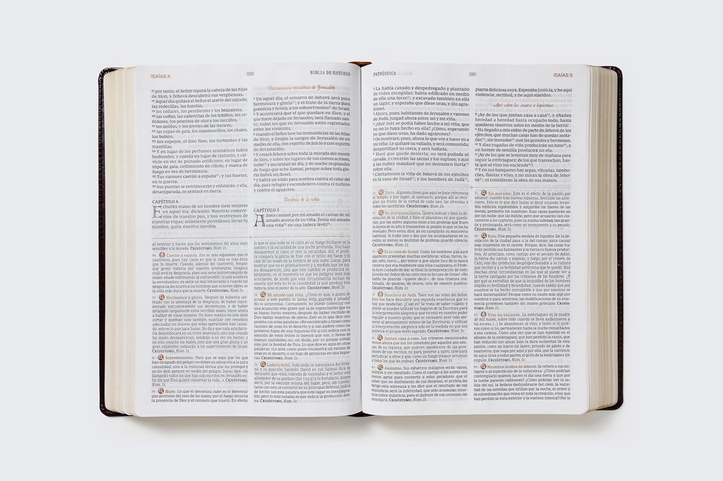 RVR, Biblia de Estudio Patrística, Leathersoft, Marrón