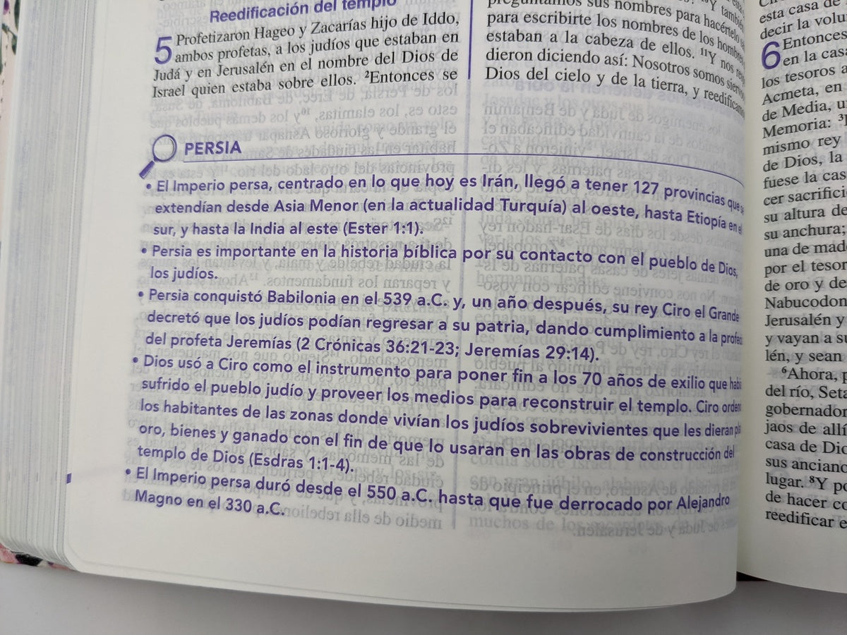 Biblia de una joven conforme al corazón de Dios RVR60 simil piel floral mujer