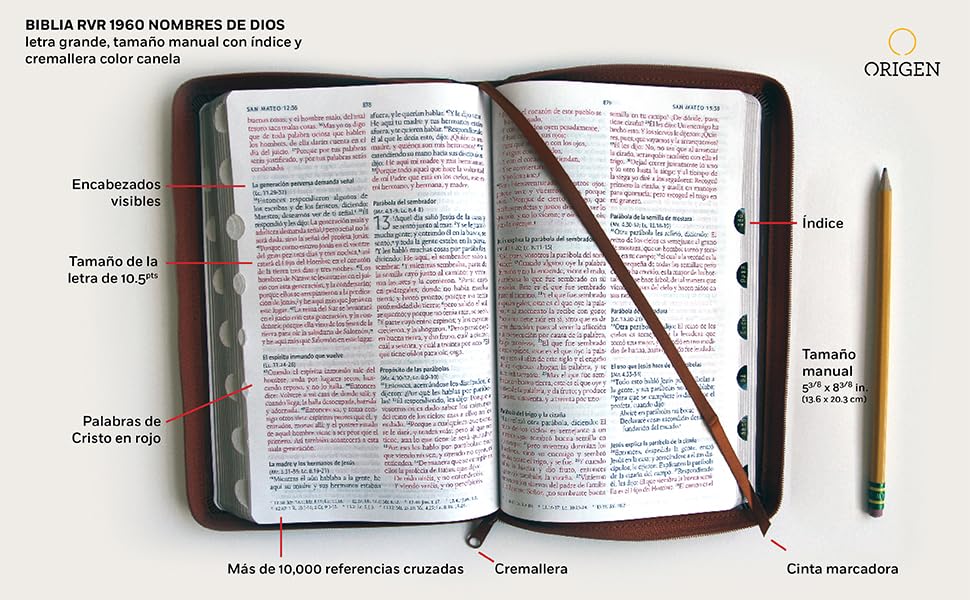 Biblia RVR 1960 letra grande tamaño manual cremallera e índice