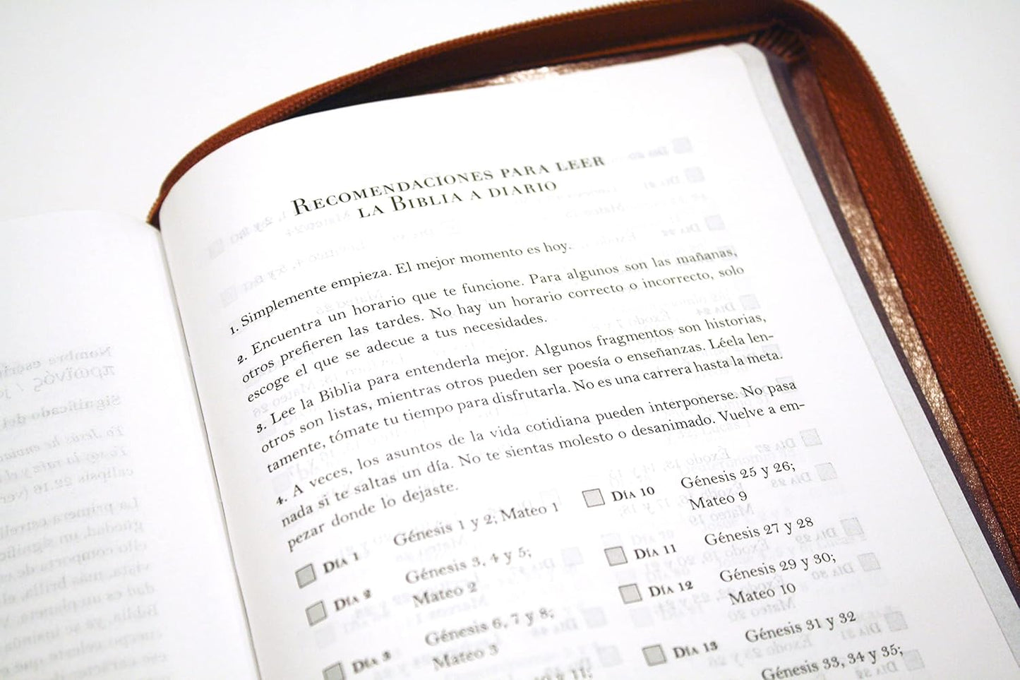Biblia RVR 1960 letra grande tamaño manual cremallera e índice