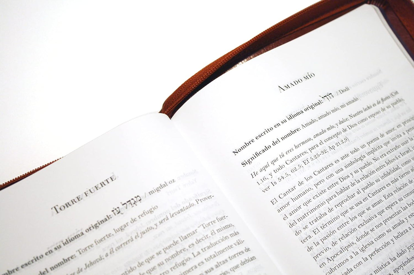 Biblia RVR 1960 letra grande tamaño manual cremallera e índice