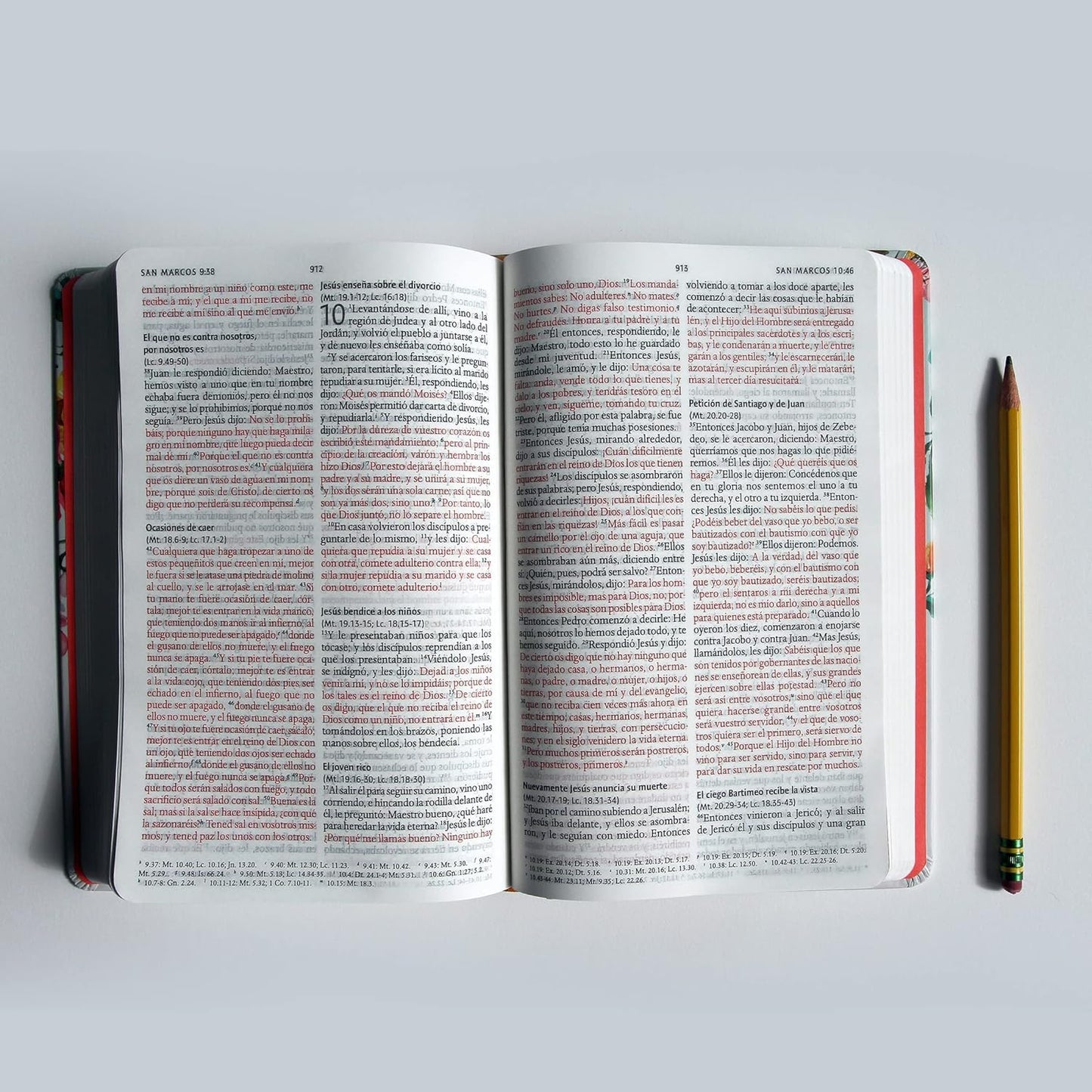 Biblia Reina Valera 1960 tamaño manual, tapa dura, flores rosadas