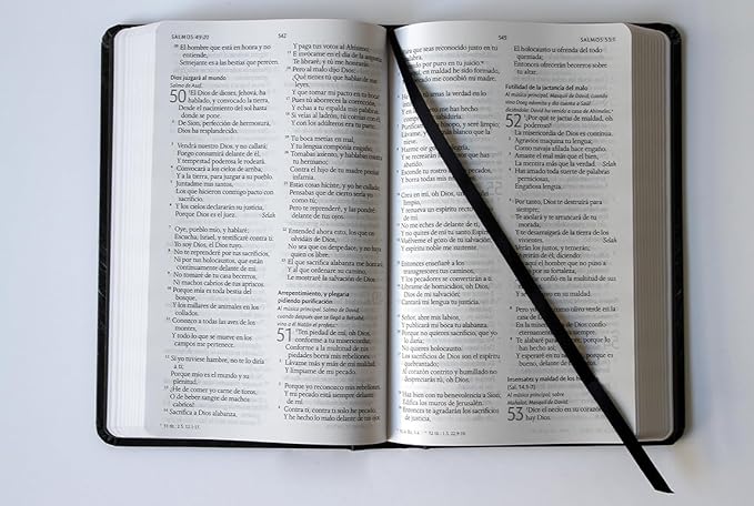 Biblia Reina Valera 1960 letra grande. Tapa dura, León de Judá Mediana