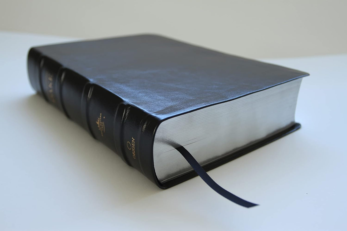 RVR 1960 Biblia de estudio Dake, tamaño grande, piel negra