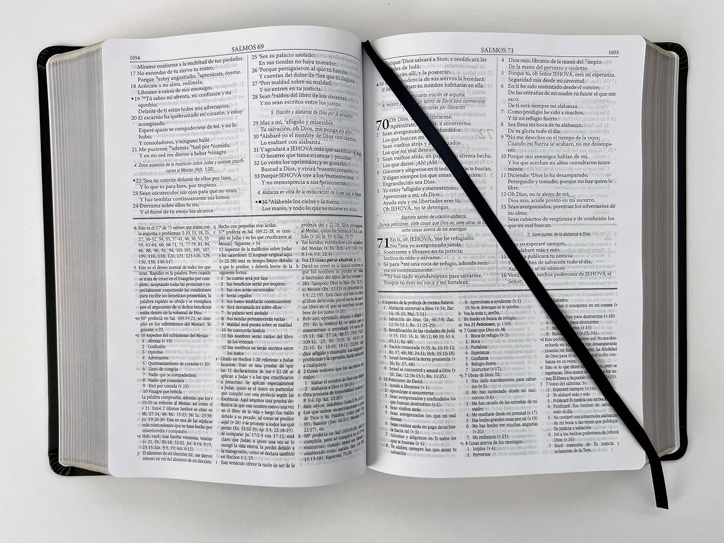 RVR 1960 Biblia de estudio Dake, tamaño grande, piel negra