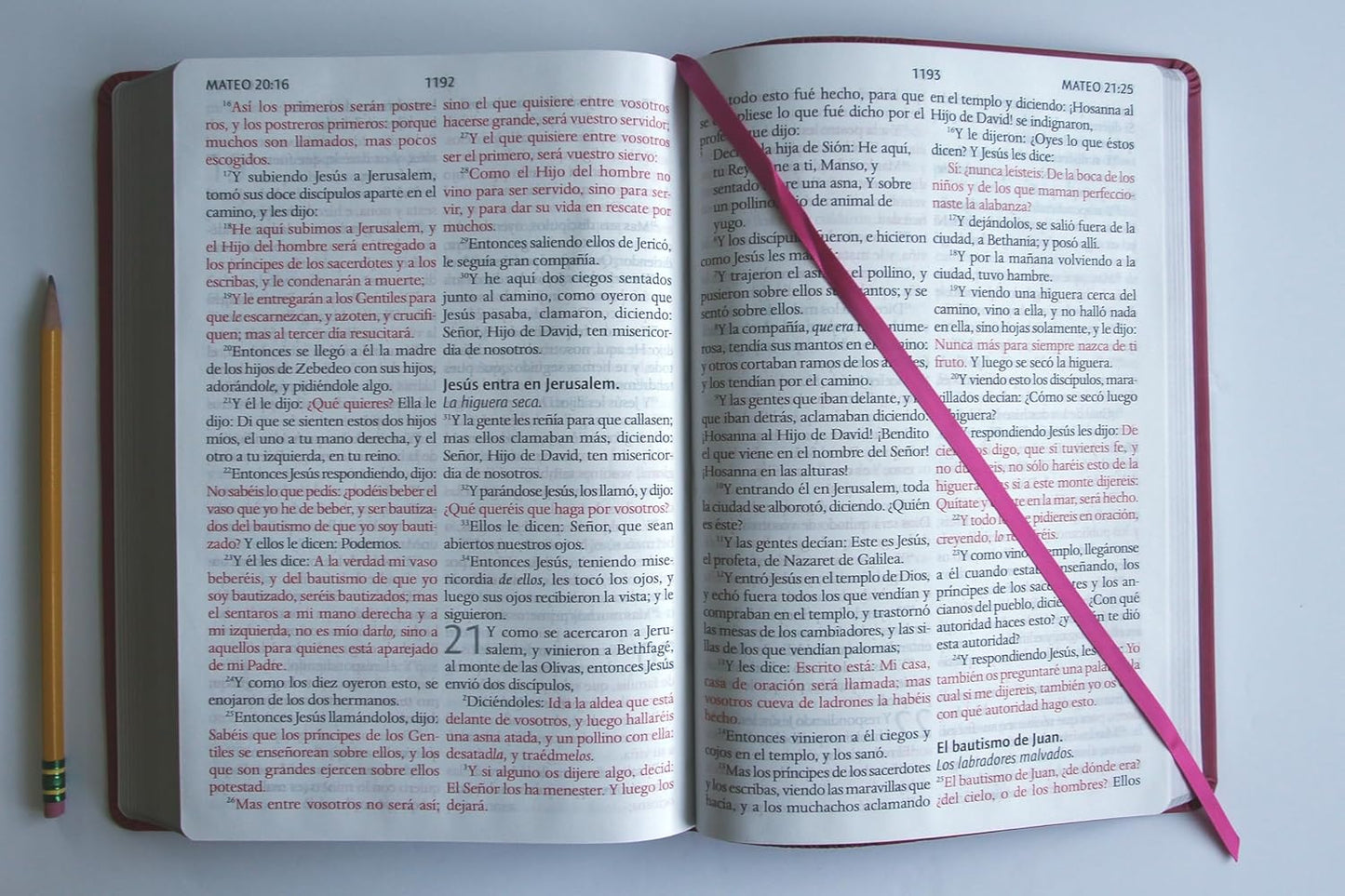 Biblia Reina Valera letra súper gigante, símil piel fucsia