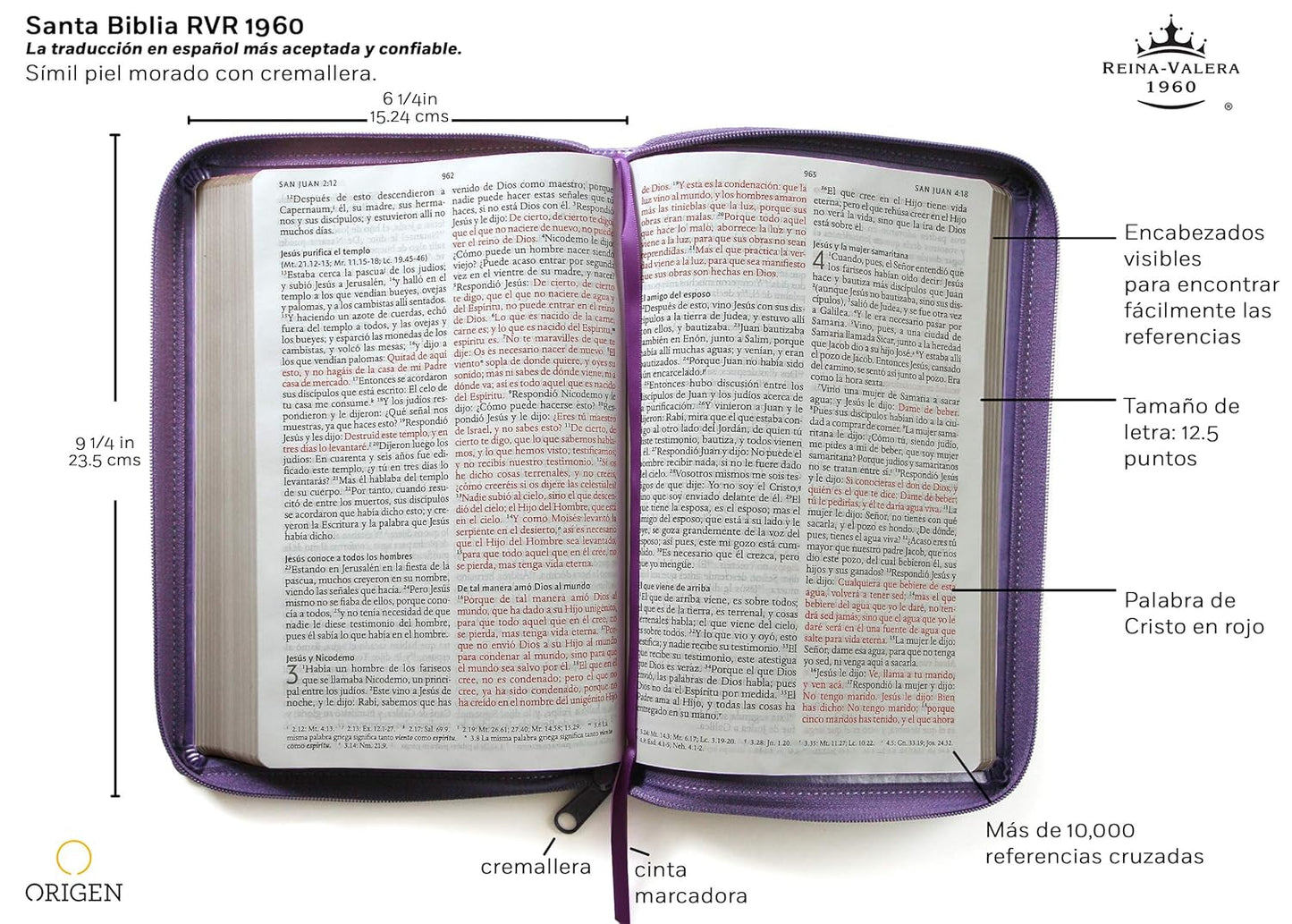 Biblia Reina Valera 1960 Tamaño grande, letra grande piel morada con cierre