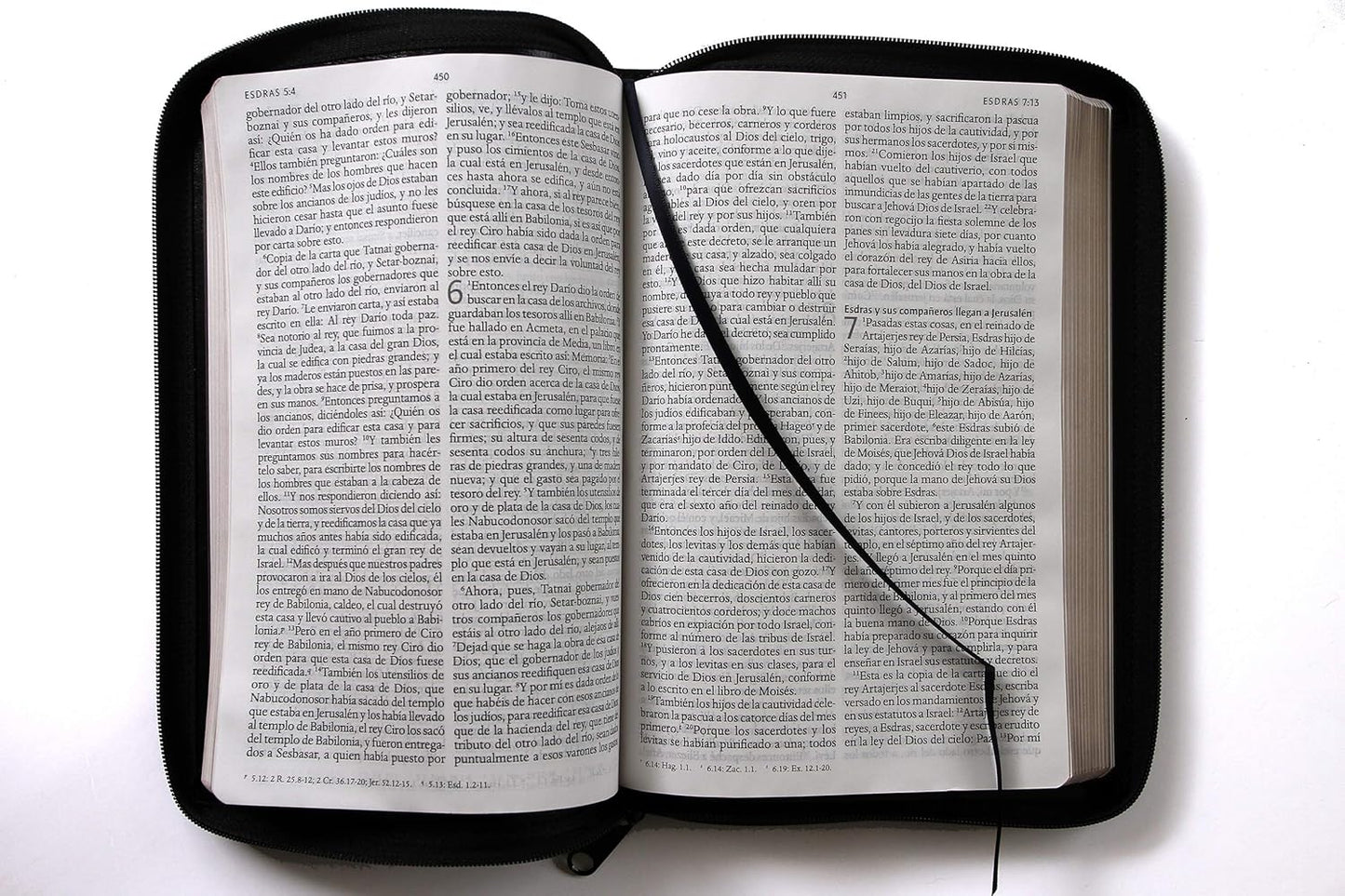 Biblia Reina Valera 1960 Tamaño grande, letra grande piel negra con cremallera