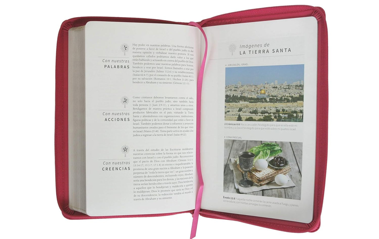 Biblia Reina Valera 1960 letra grande. Símil piel fucsia, cierre, tamaño manual