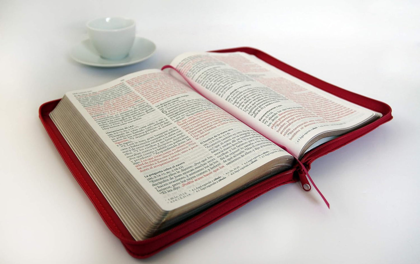 Biblia Reina Valera 1960 letra grande. Símil piel fucsia, cierre, tamaño manual