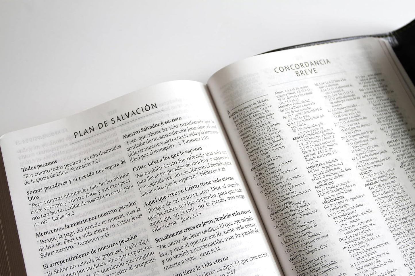 Biblia RVR 1960 letra grande tamaño manual, simil piel con solapa y imán