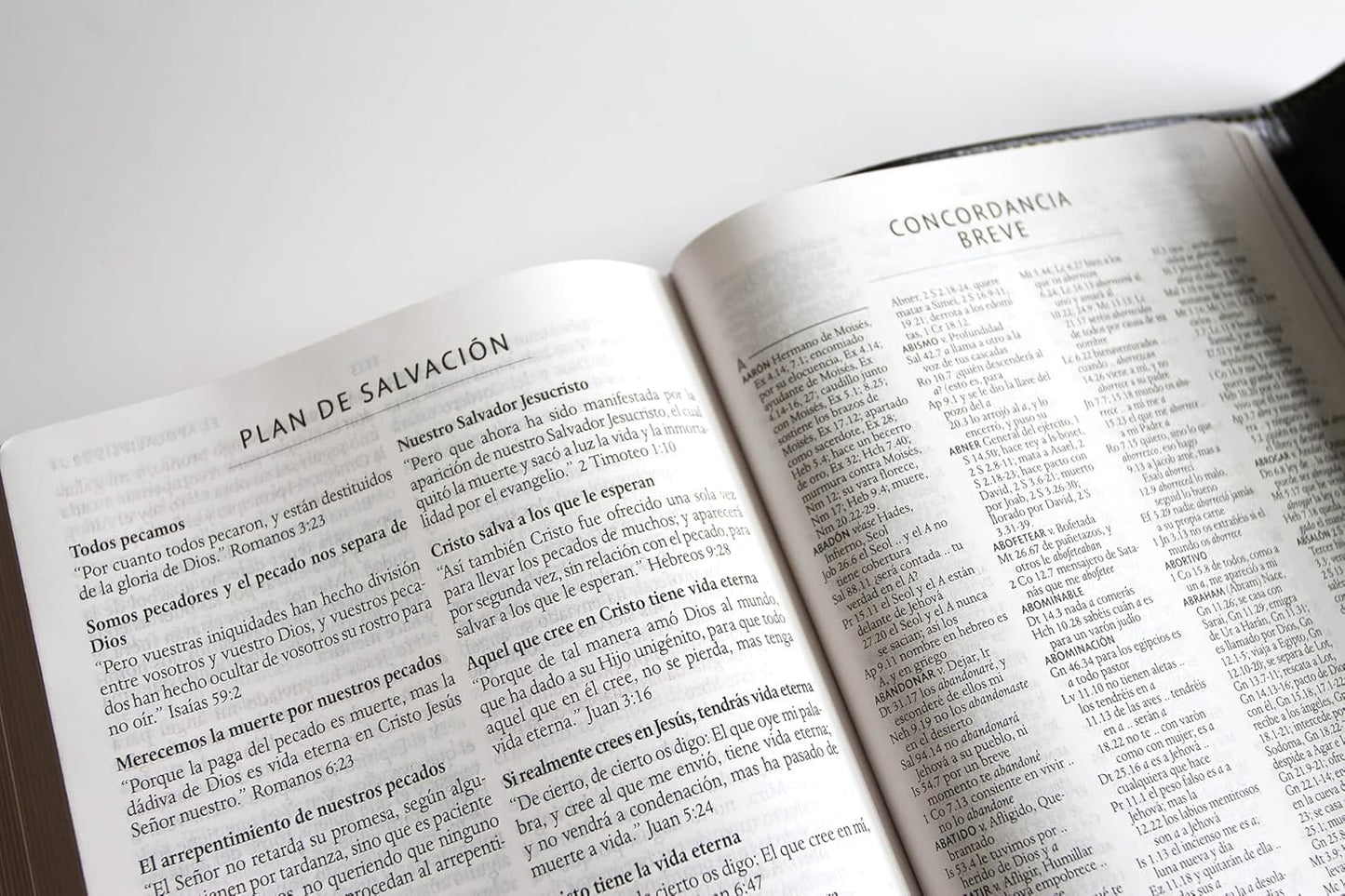 Biblia RVR 1960 letra grande tamaño manual, simil piel con solapa y imán