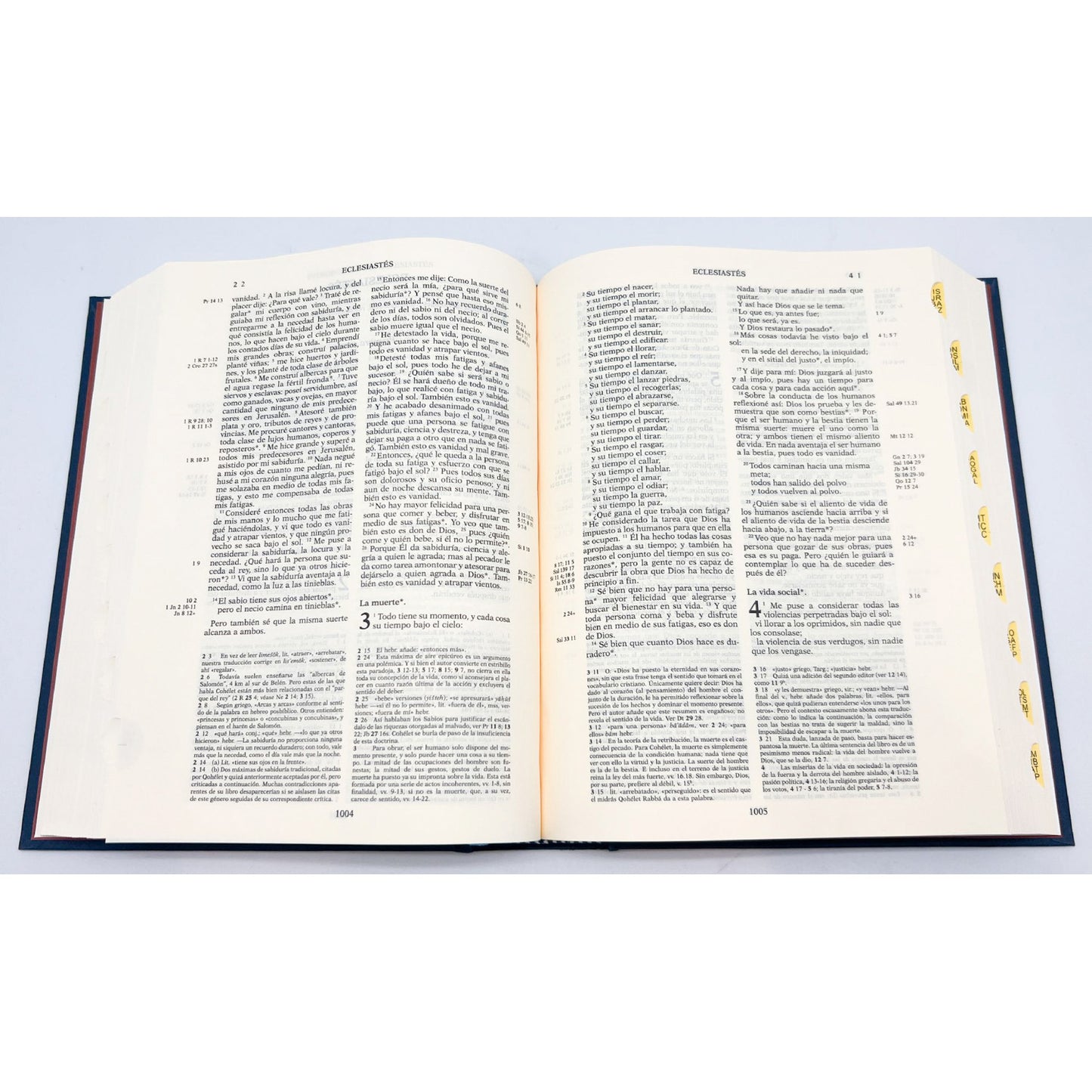 Biblia de Jerusalén manual 5ª edición