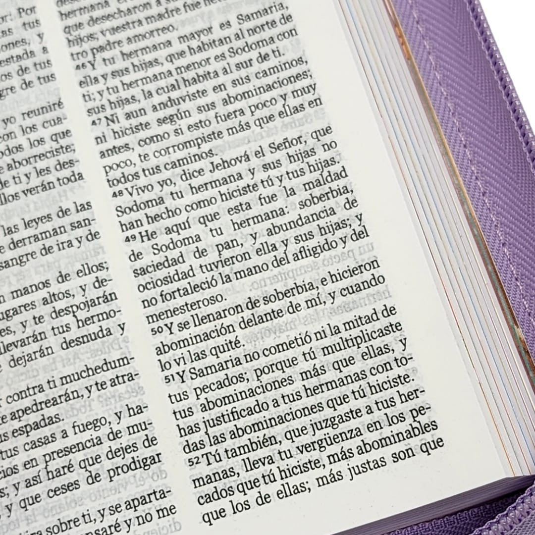 Biblia Reina Valera 1960 Mi Gran Viaje Lila Con Cierre niños ilustrada