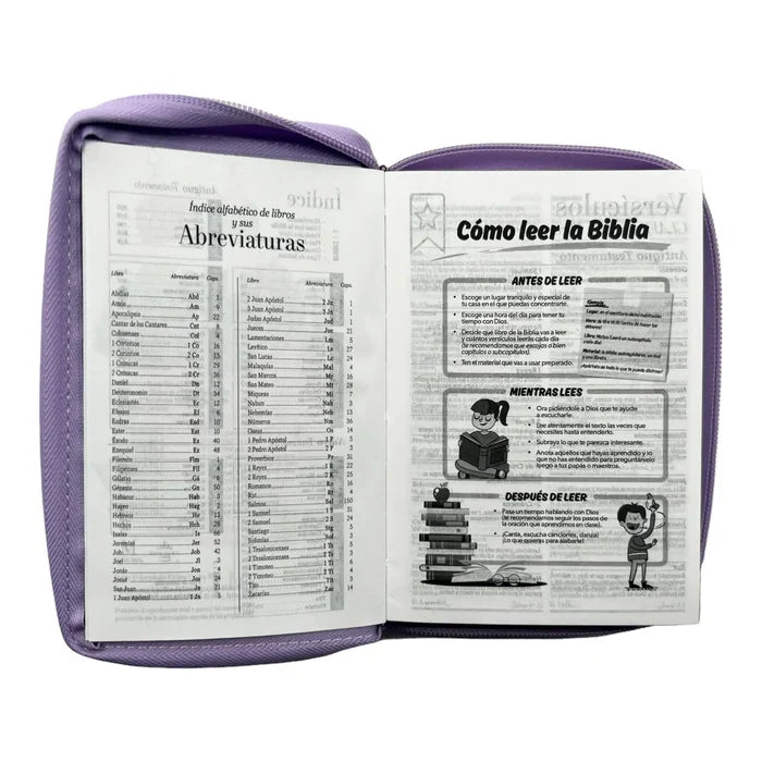 Biblia Reina Valera 1960 Mi Gran Viaje Lila Con Cierre niños ilustrada