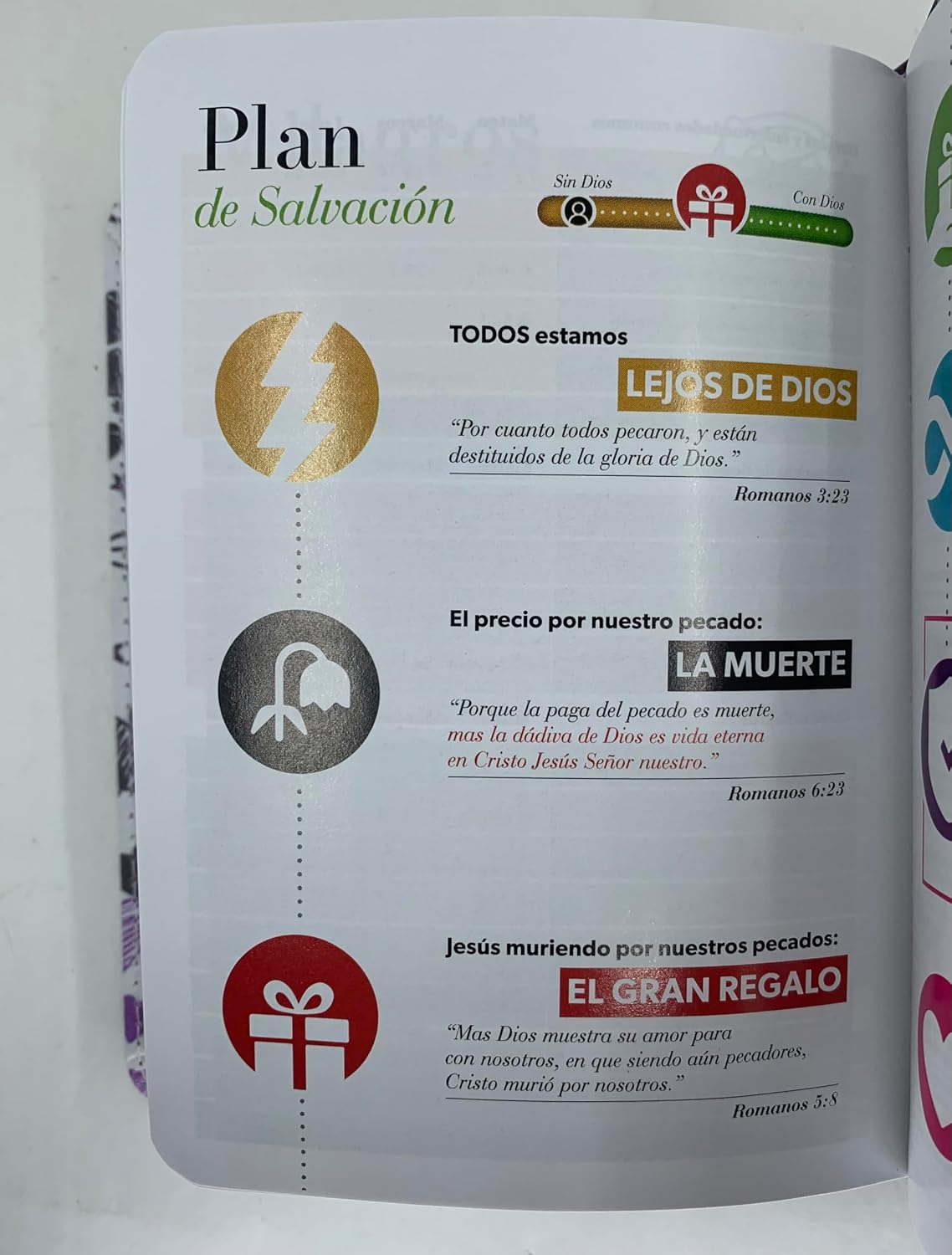 Biblia RVR60 tamaño bolsillo PJR - Palabras de Vida. Amor lila