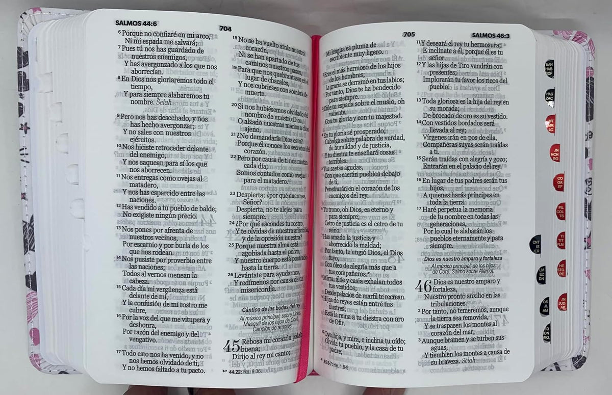 Biblia RVR60 tamaño bolsillo PJR - Palabras de Vida. Amor Rosa