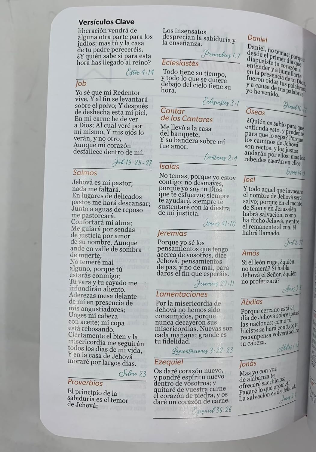 Biblia RVR60 tamaño bolsillo PJR - Palabras de Vida. Amor Rosa