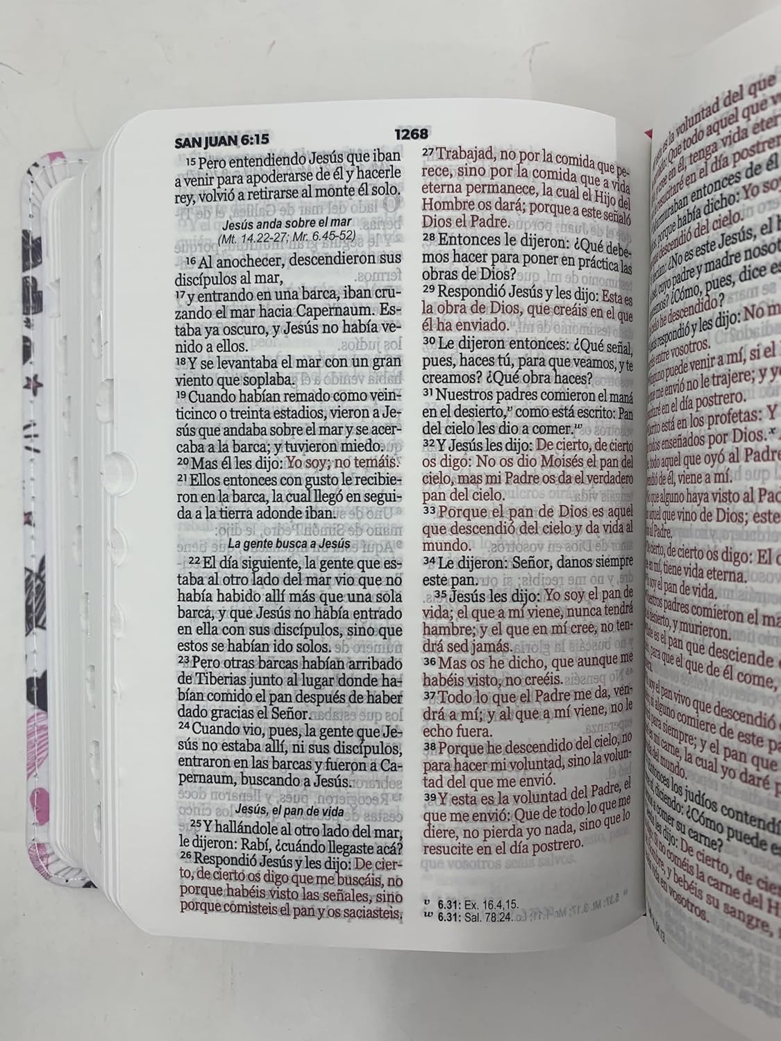 Biblia RVR60 tamaño bolsillo PJR - Palabras de Vida. Amor Rosa