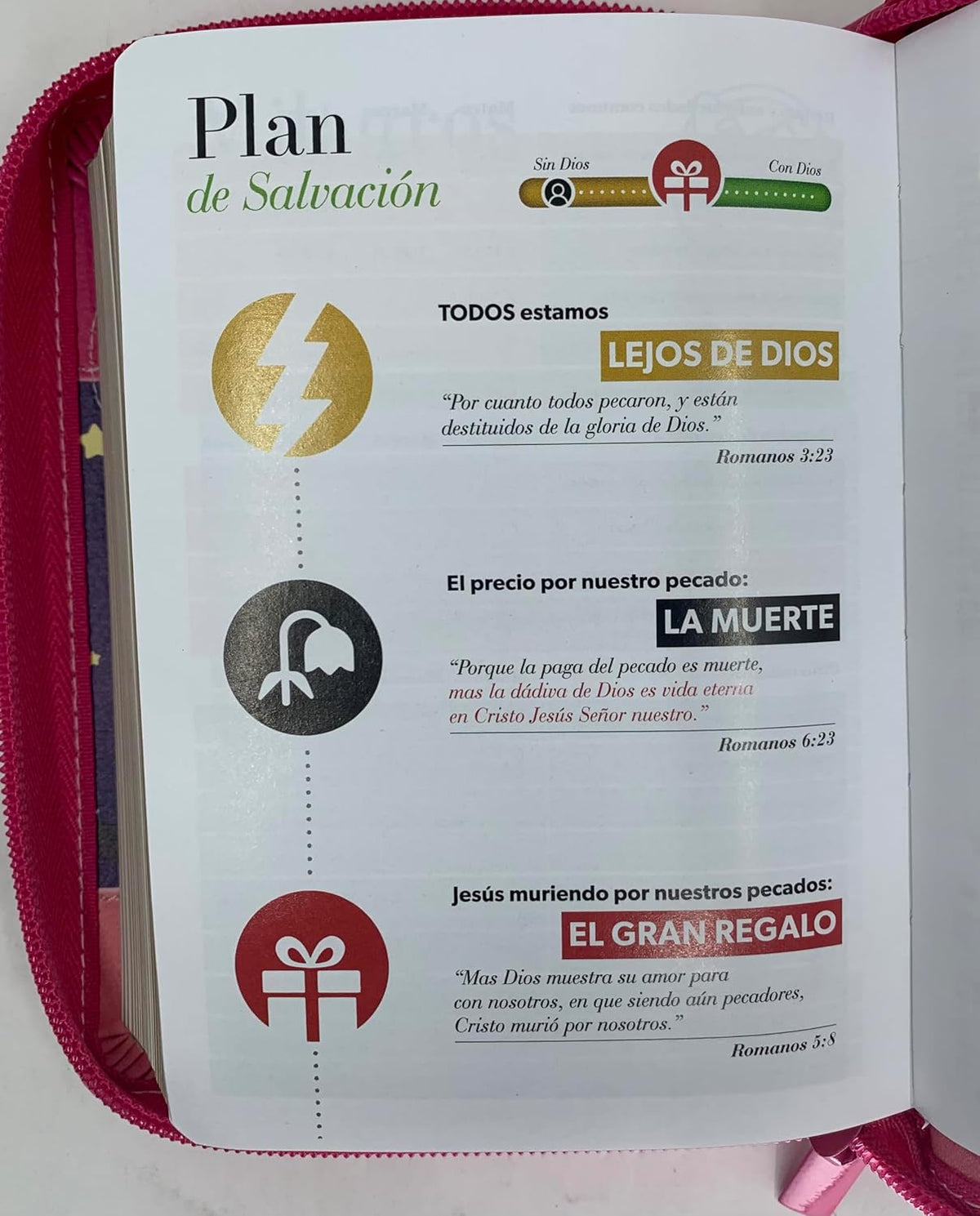 Biblia de Tamaño Bolsillo con Cierre RV1960 fucsia/rosa/turquesa para mujeres