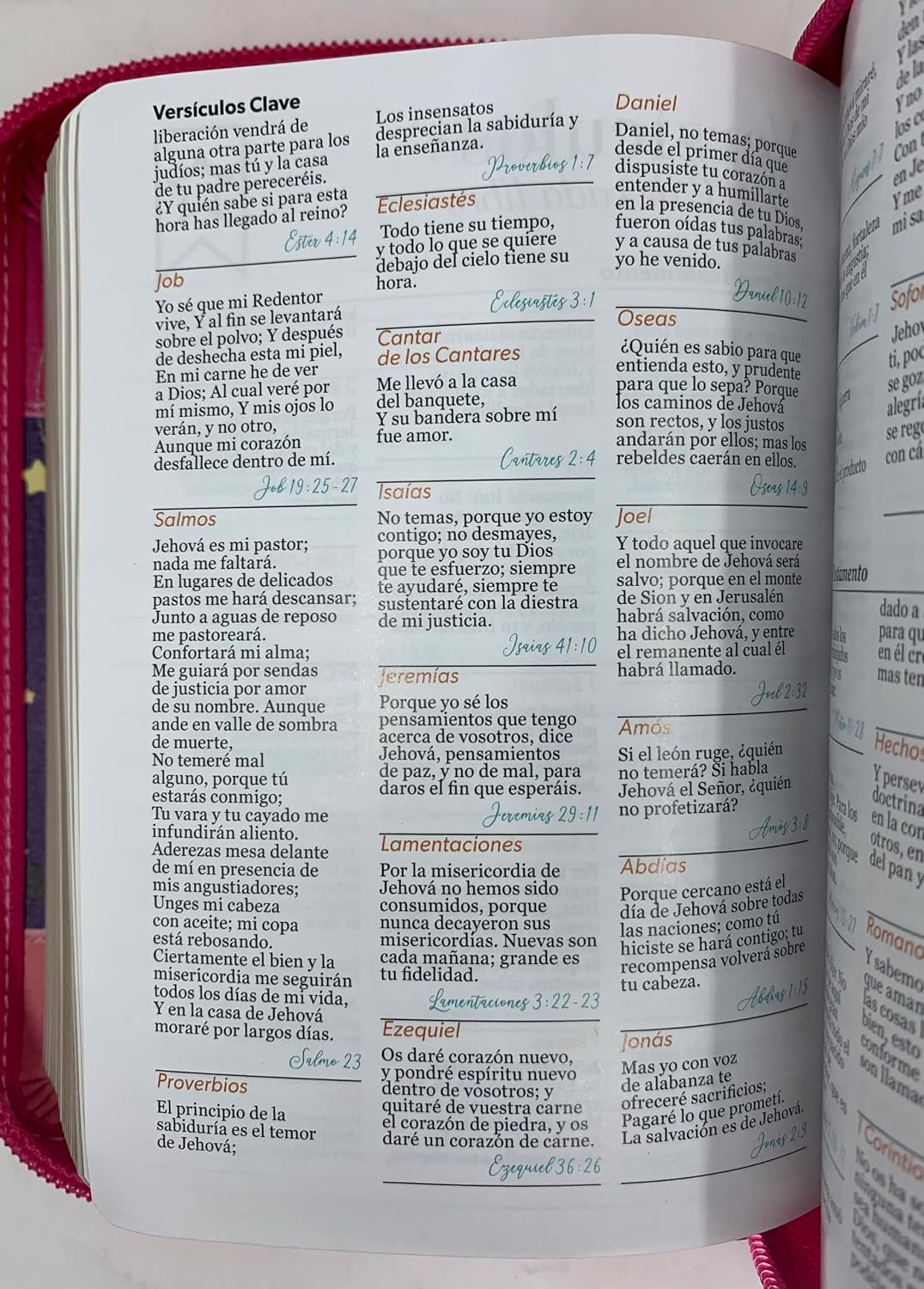 Biblia de Tamaño Bolsillo con Cierre RV1960 fucsia/rosa/turquesa para mujeres