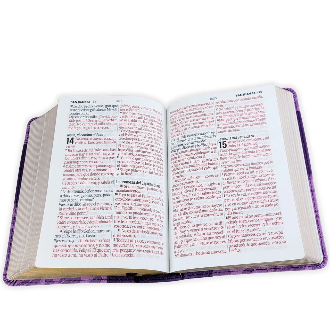 Biblia con Elástico Letra Grande 11 puntos RV1960, imitación piel lila vintage