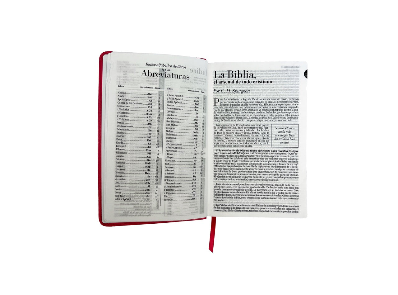 Biblia RVR 1960 Letra Grande Tamaño Manual Símil Piel Fucsia con Índice con Cierre