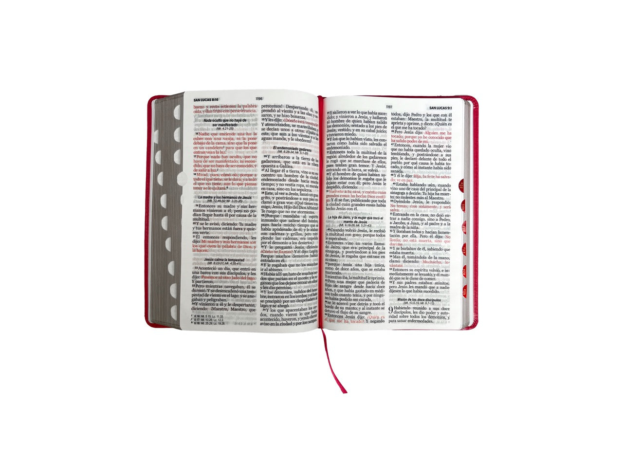 Biblia RVR 1960 Letra Grande Tamaño Manual Símil Piel Fucsia con Índice con Cierre