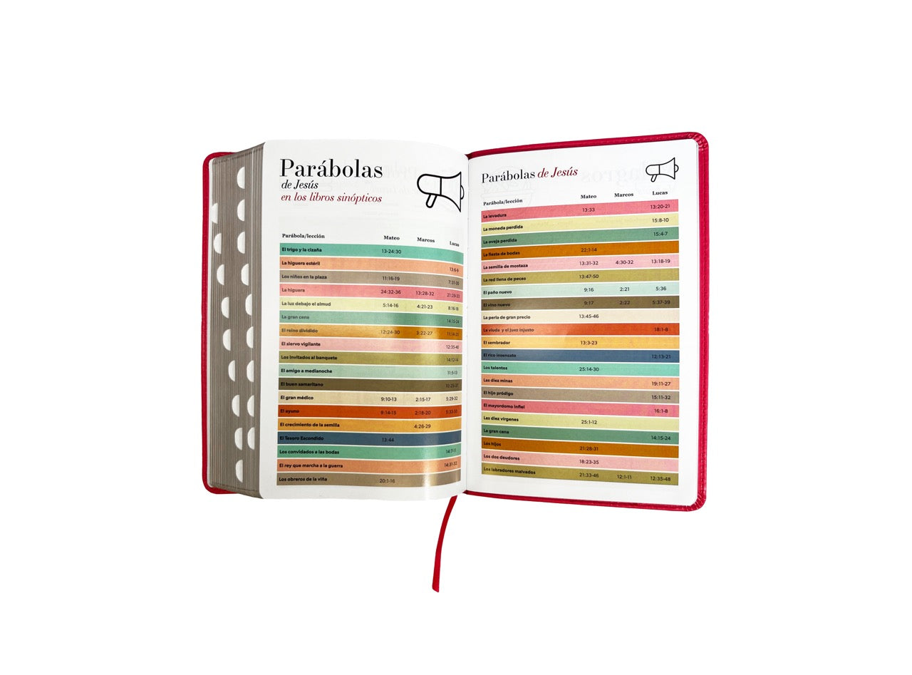 Biblia RVR 1960 Letra Grande Tamaño Manual Símil Piel Fucsia con Índice con Cierre