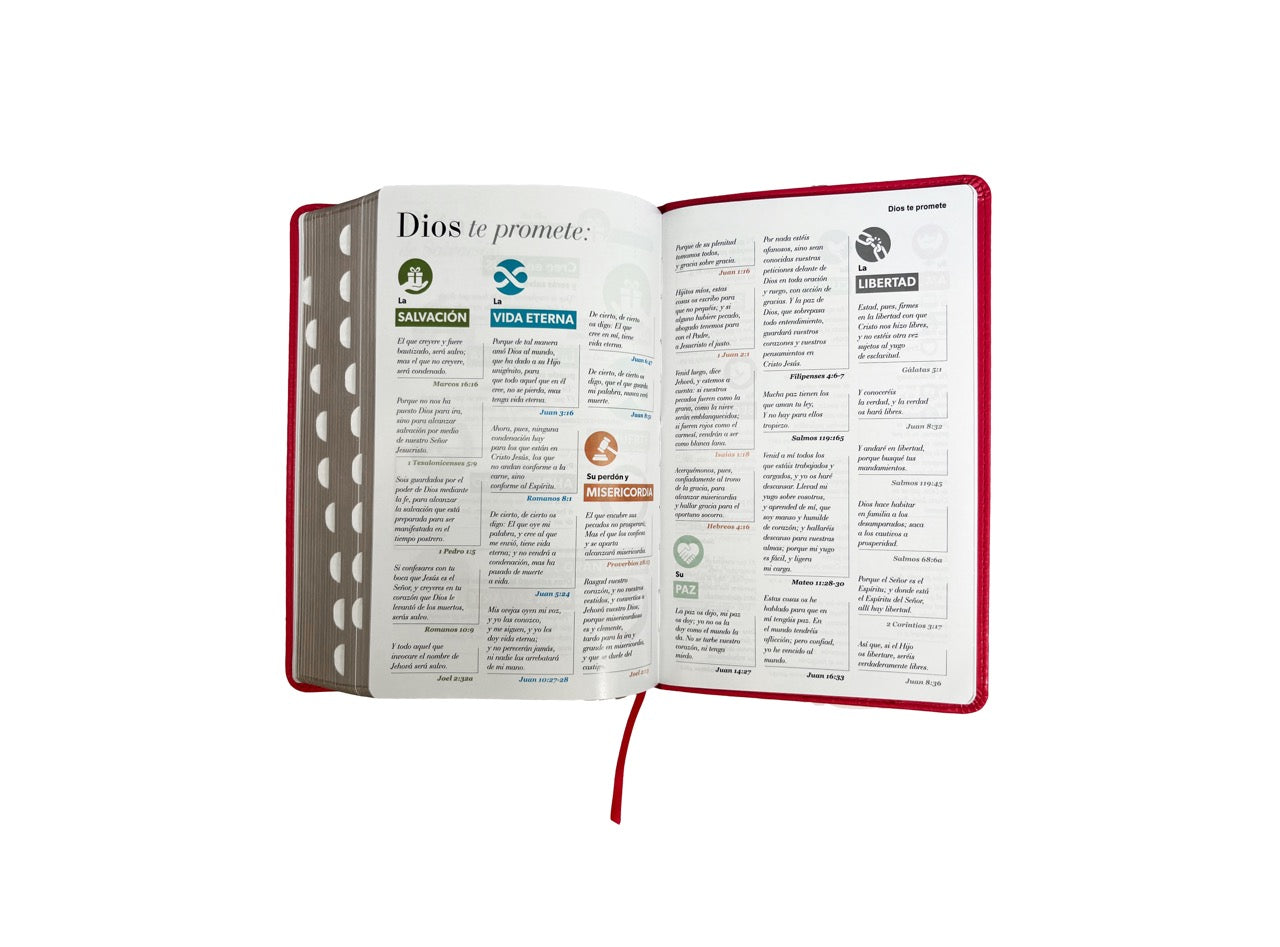 Biblia RVR 1960 Letra Grande Tamaño Manual Símil Piel Fucsia con Índice con Cierre