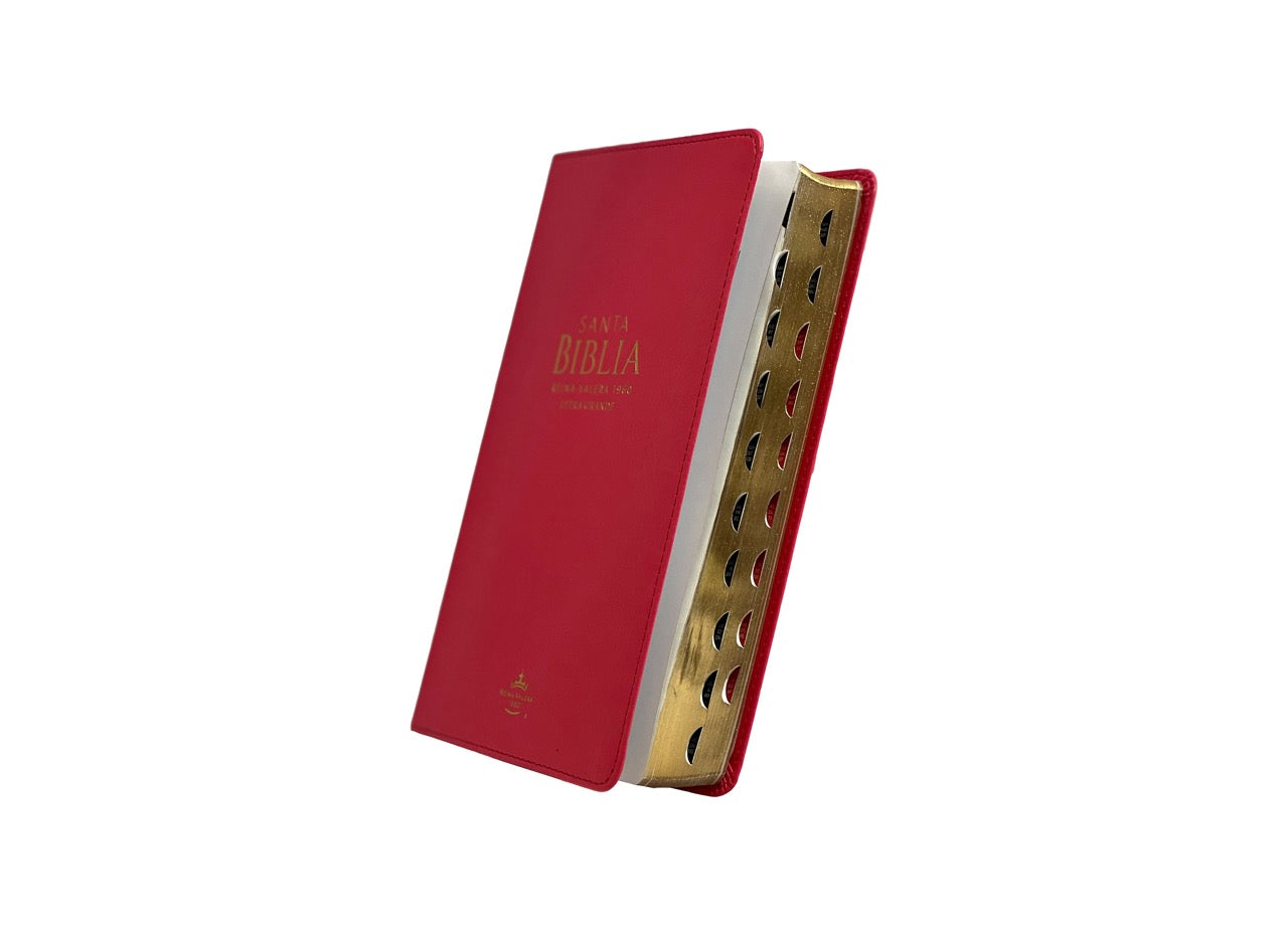 Biblia RVR 1960 Letra Grande Tamaño Manual Símil Piel Fucsia con Índice con Cierre
